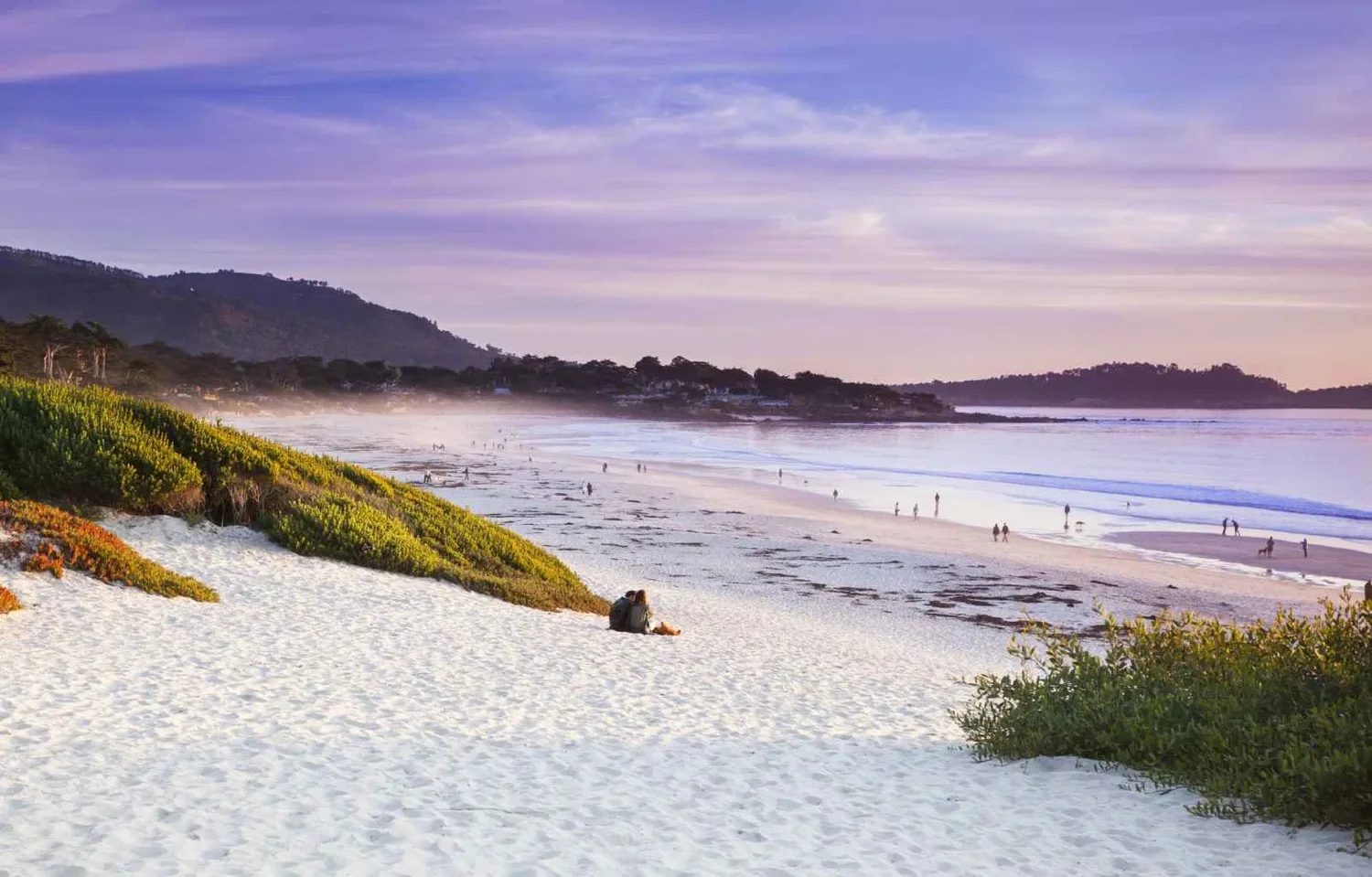 Dream Van party service area in Carmel-by-the-Sea, California