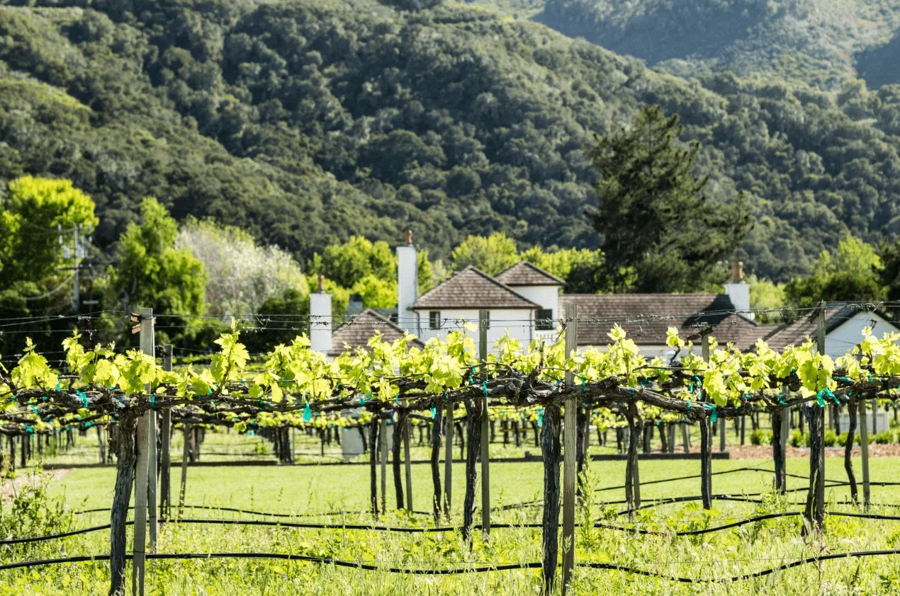 Dream Van party service area in Carmel Valley, California