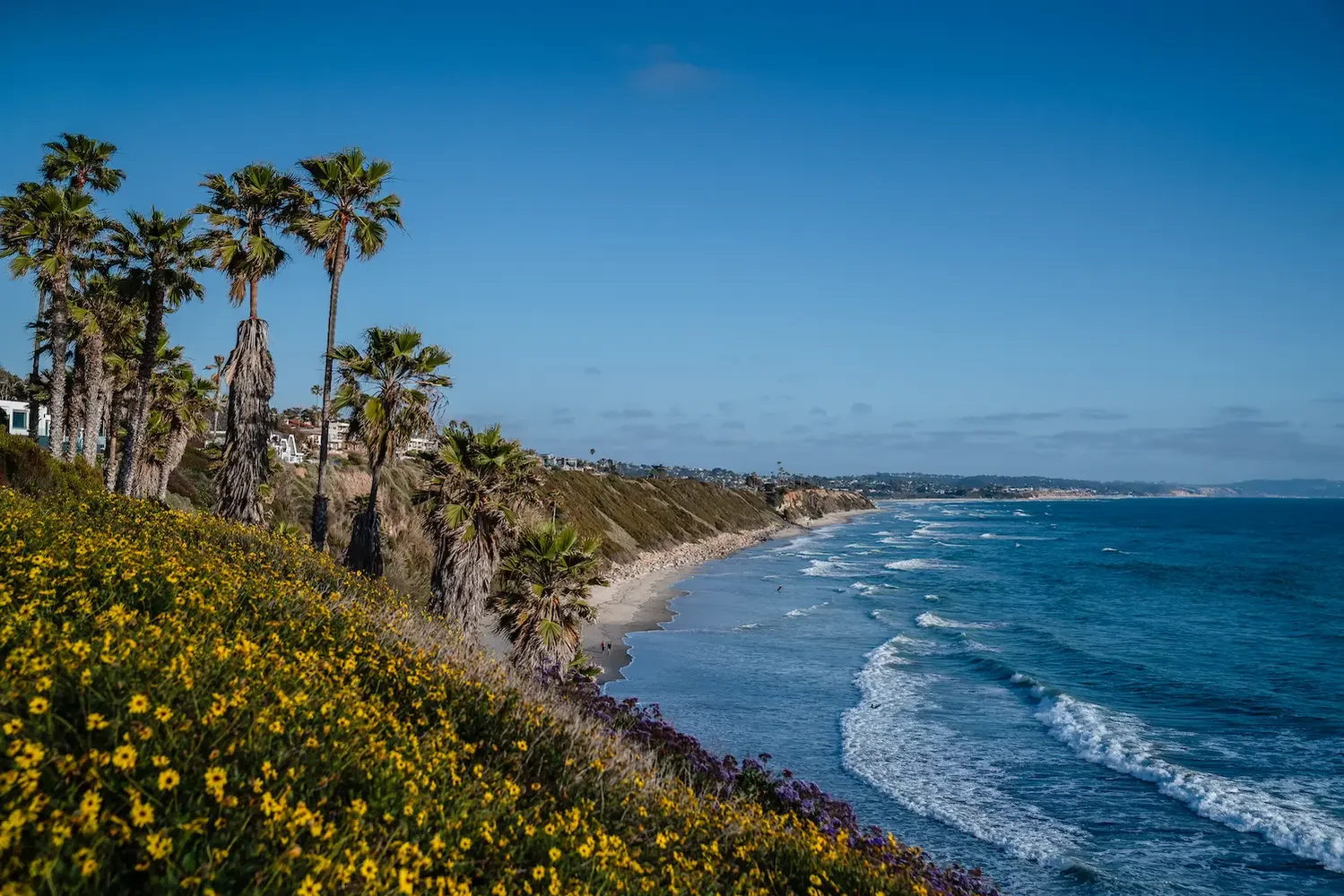 Dream Van party service area in Encinitas, California