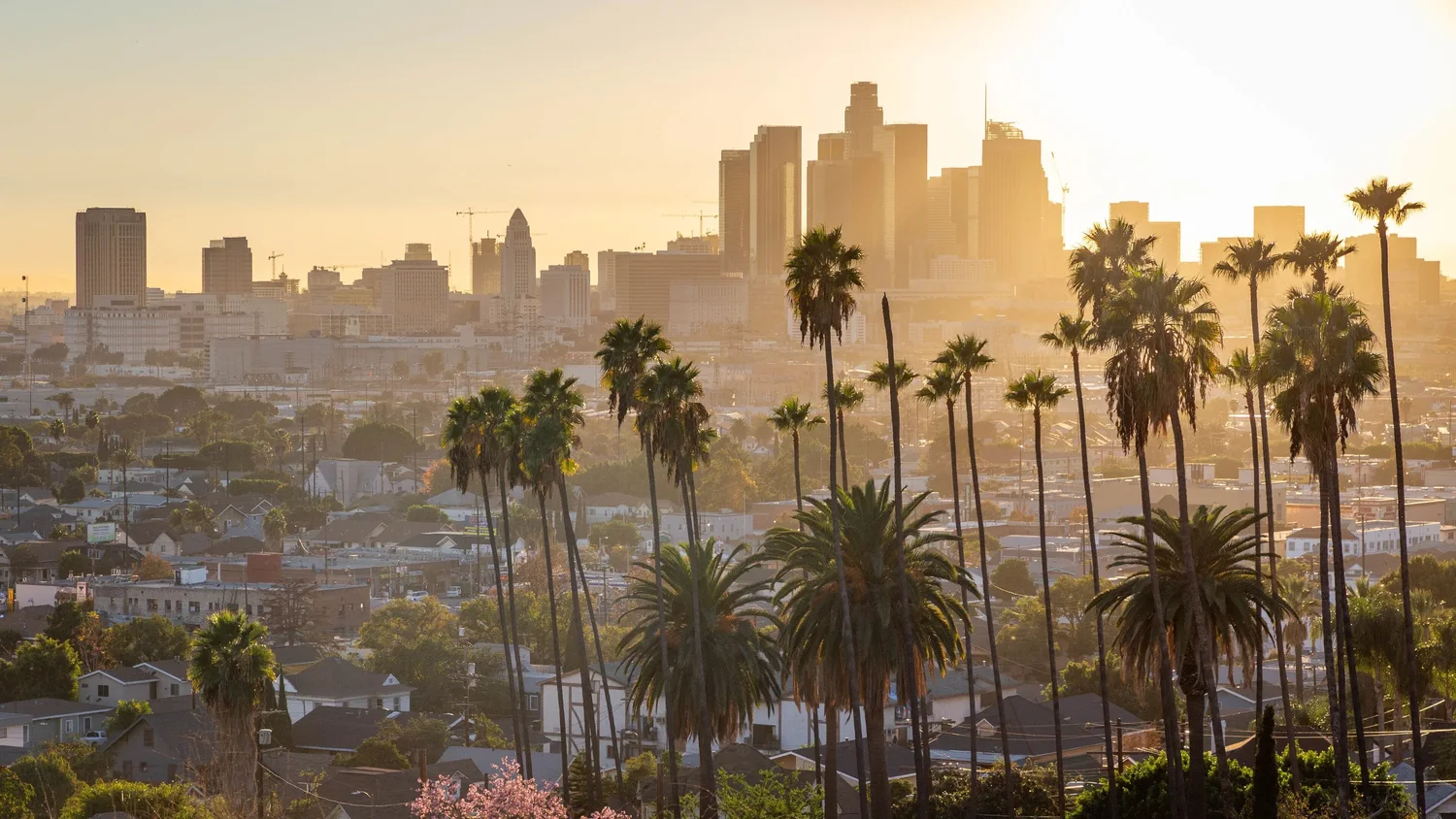 Dream Van party service area in Los Angeles, California