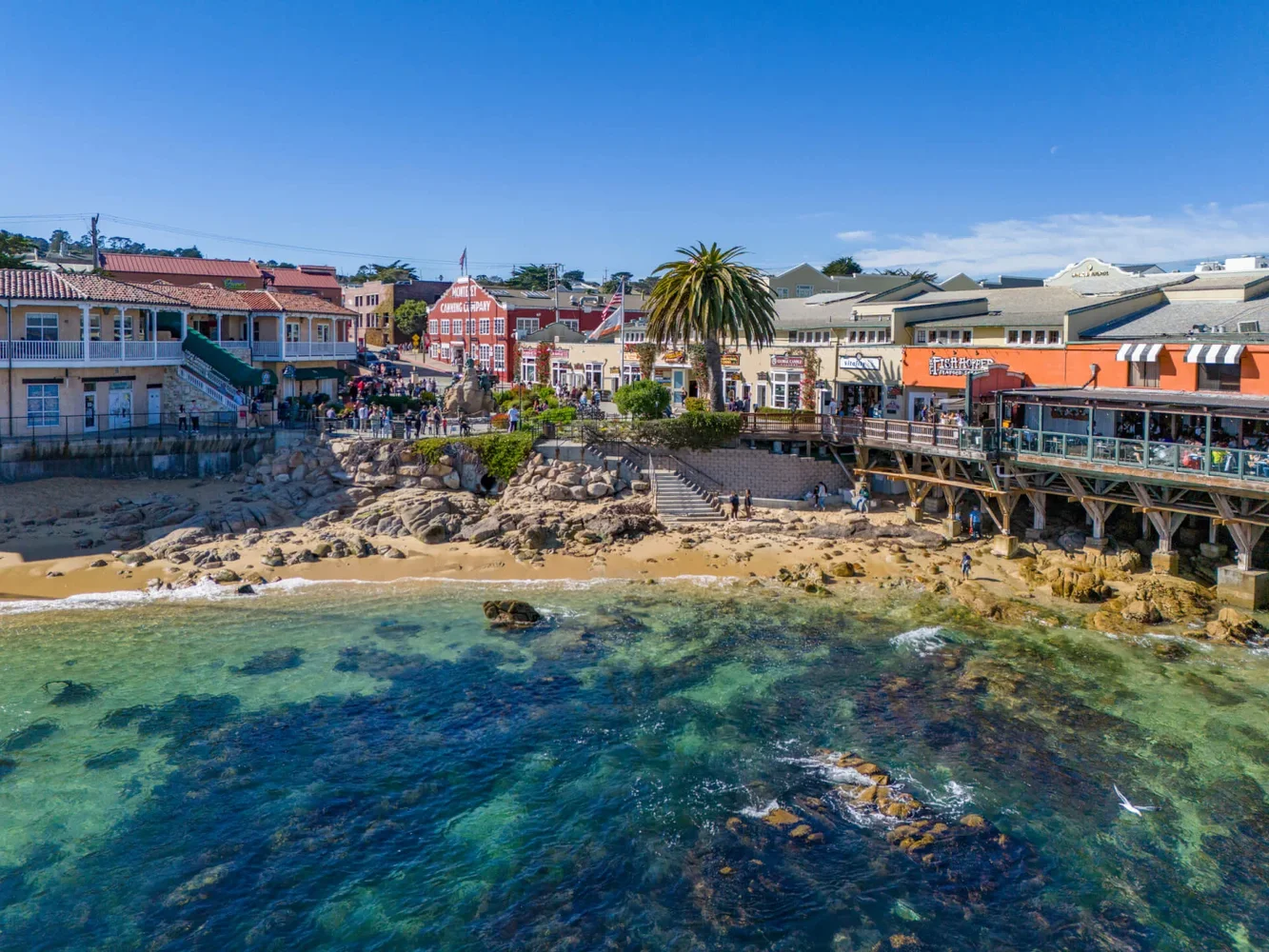 Dream Van party service area in Monterey, California