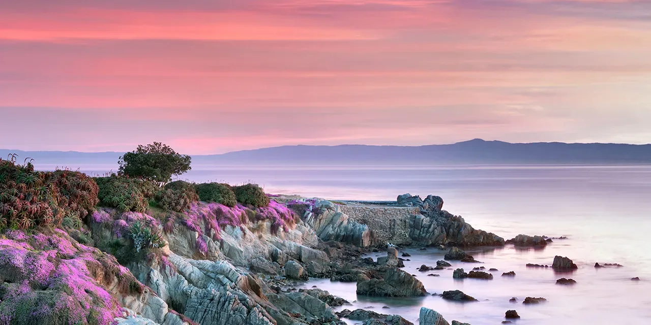 Dream Van party service area in Pacific Grove, California