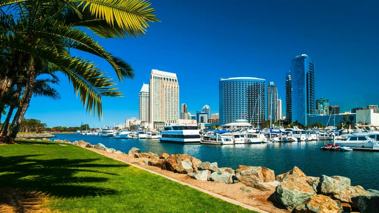 Dream Van party service area in San Diego, California