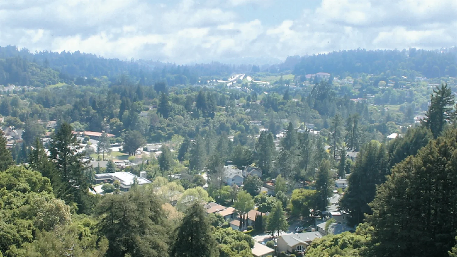 Dream Van party service area in Scotts Valley, California